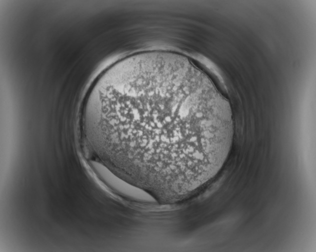 X0000085241142200703301742