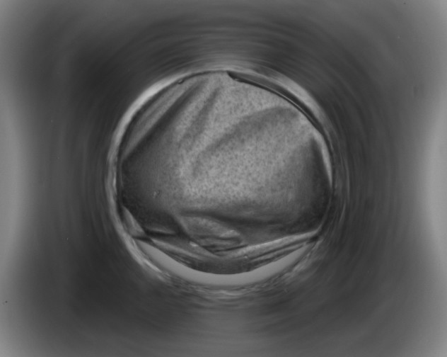 X0000085241144200703301742