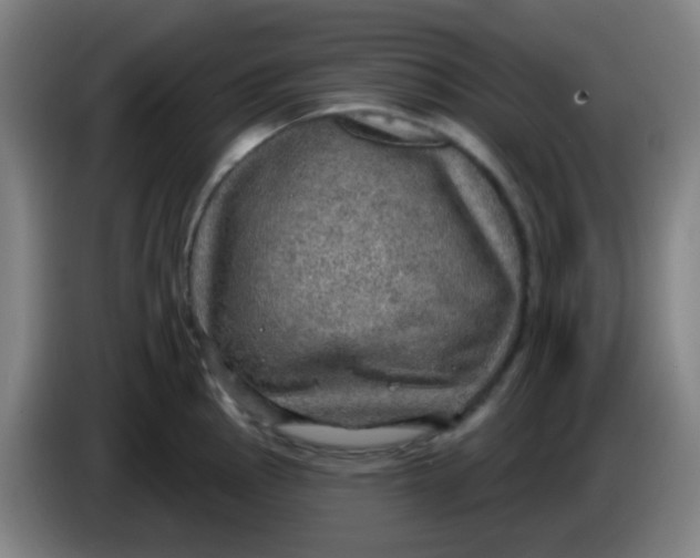 X0000085241145200703301742