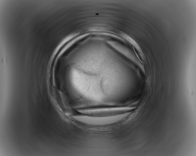 X0000085241146200703301742
