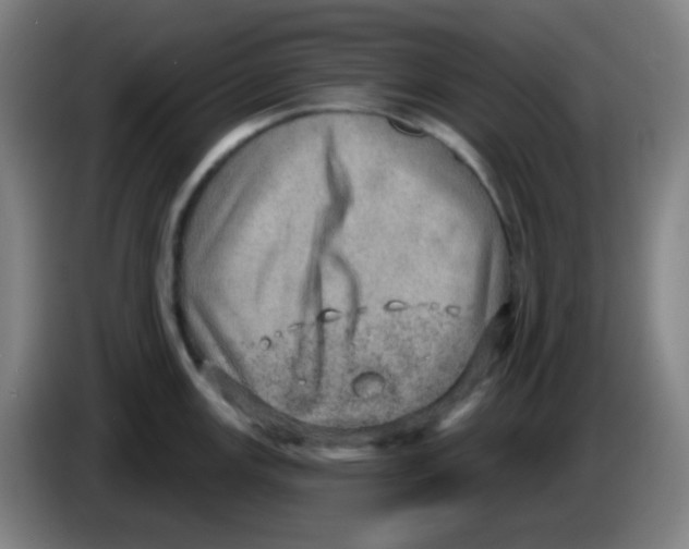 X0000085241147200703301742