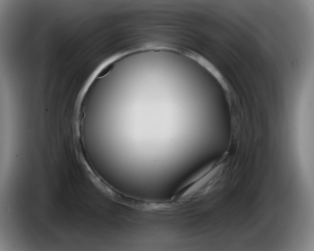 X0000085241148200703301742