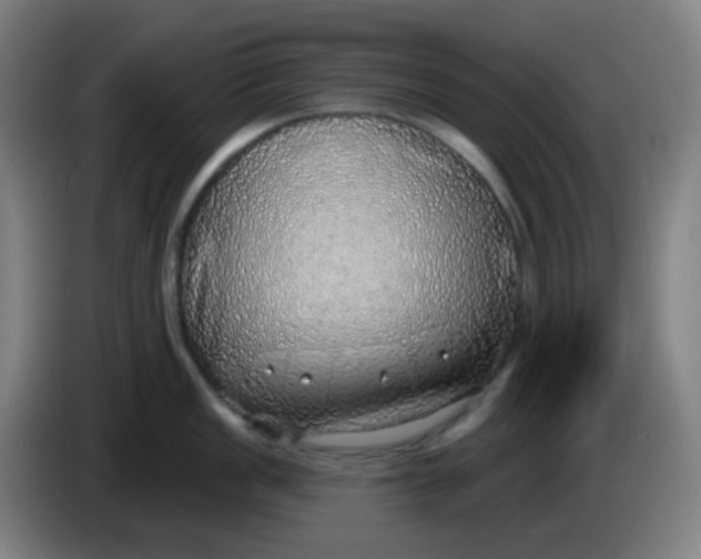 X0000085241149200703301742