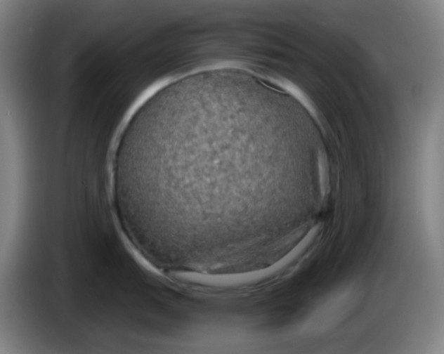 X0000085241151200703301742