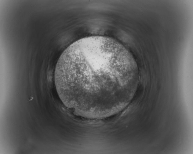X0000085241154200703301741