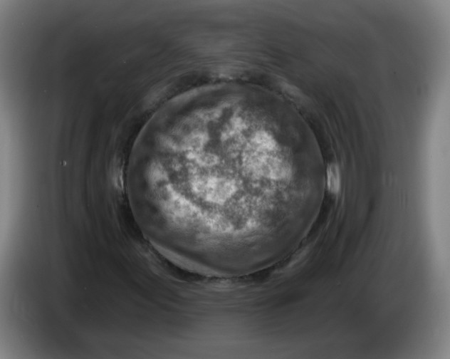X0000085241155200703301741
