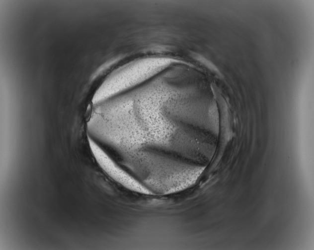 X0000085241160200703301741