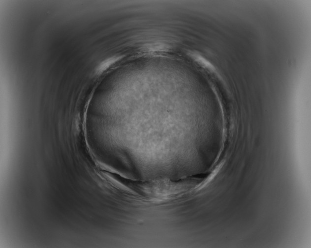 X0000085241161200703301741