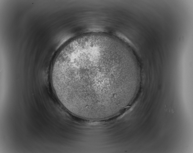 X0000085241162200703301741
