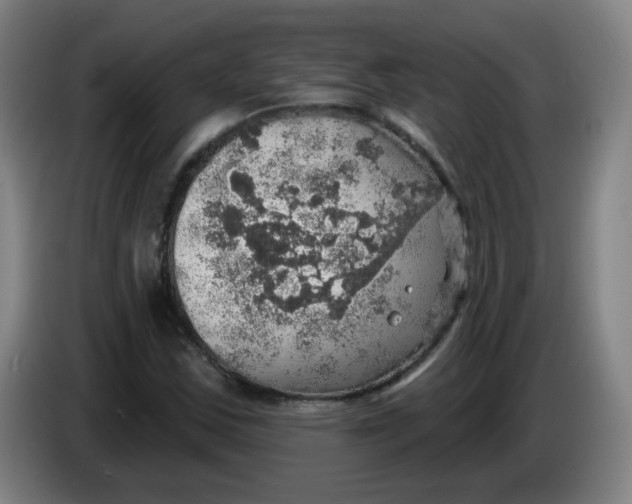 X0000085241163200703301741