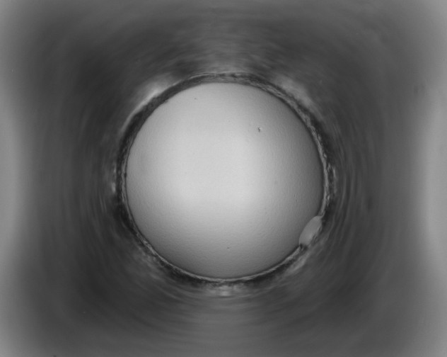 X0000085241165200703301741