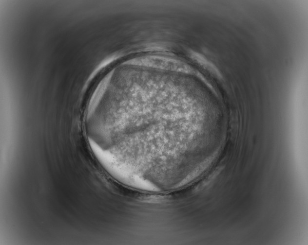 X0000085241166200703301741