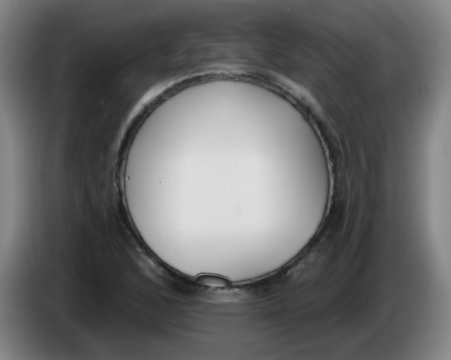 X0000085241168200703301741