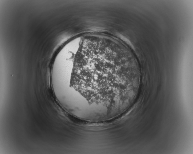 X0000085241171200703301741