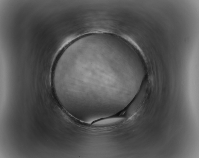 X0000085241173200703301741