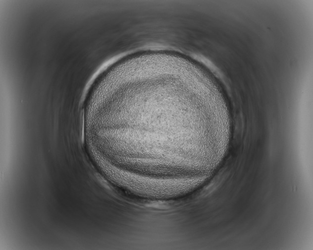 X0000085241175200703301741