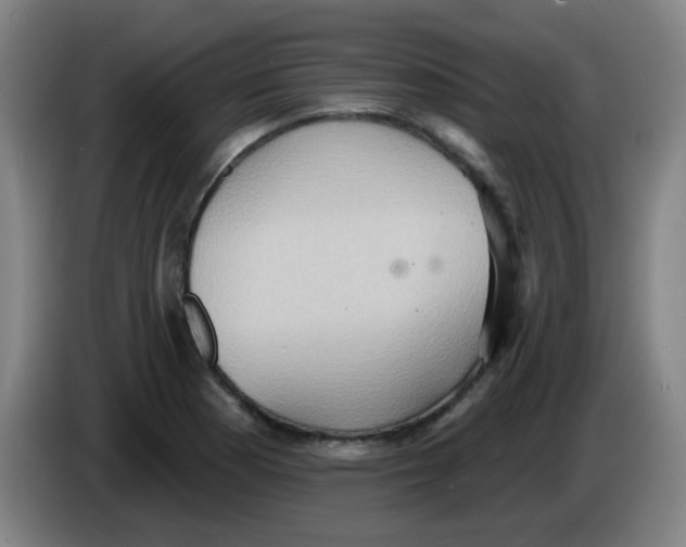 X0000085241177200703301741