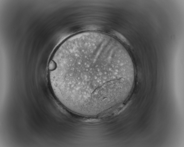 X0000085241178200703301741