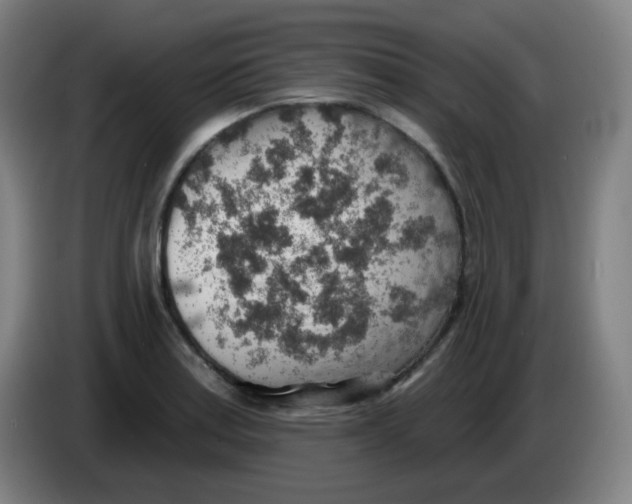 X0000085241179200703301741