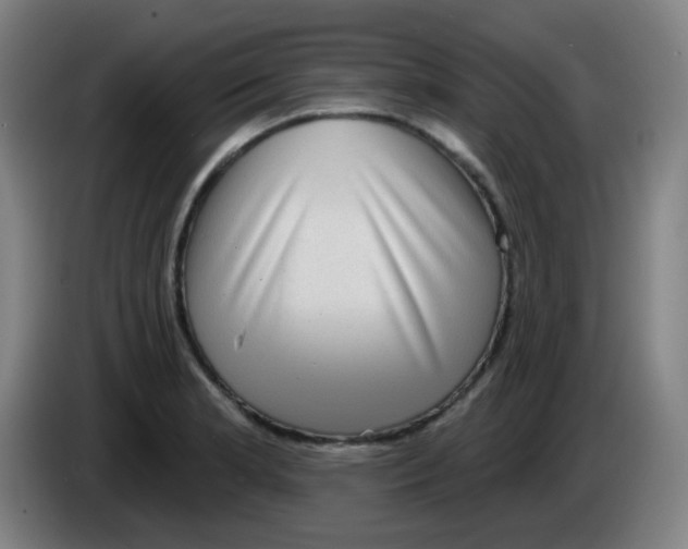 X0000085241181200703301741
