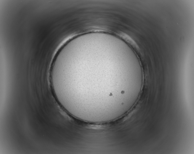 X0000085241182200703301741