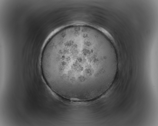 X0000085241183200703301741
