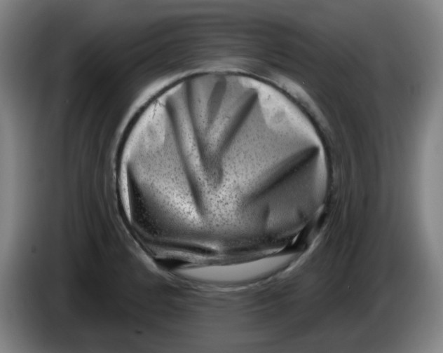 X0000085241184200703301741