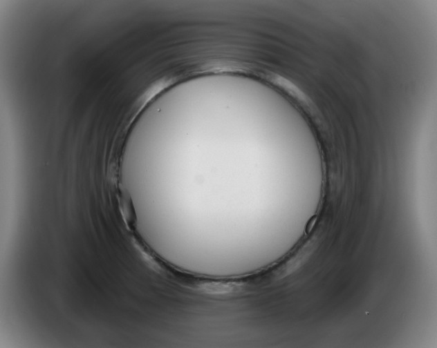 X0000085241185200703301741