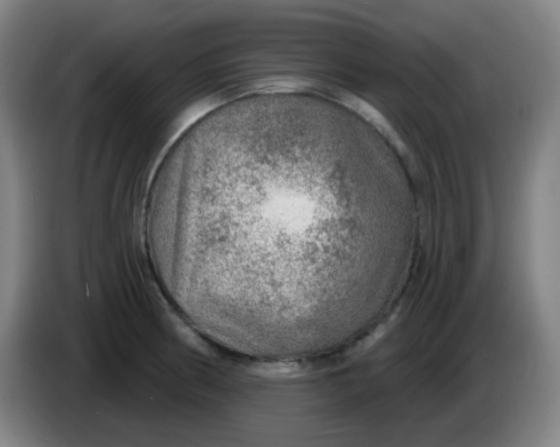 X0000085241186200703301741