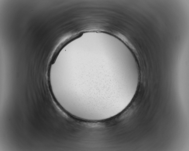 X0000085241189200703301741