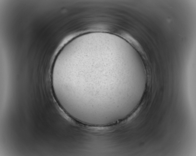 X0000085241192200703301741