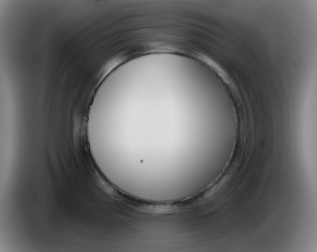X0000085241193200703301741