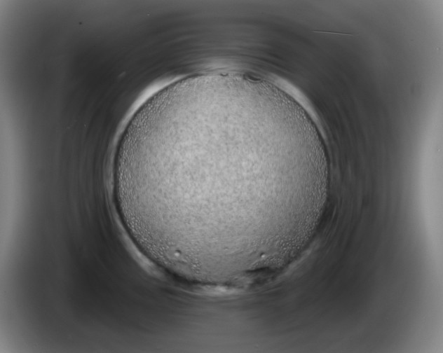 X0000085241195200703301741