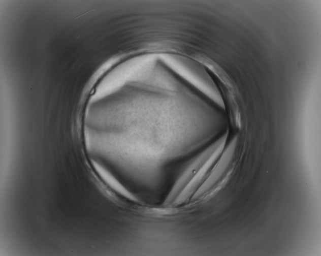 X0000085241196200703301741