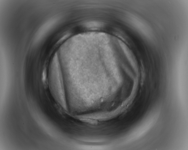 X0000085241198200703301741