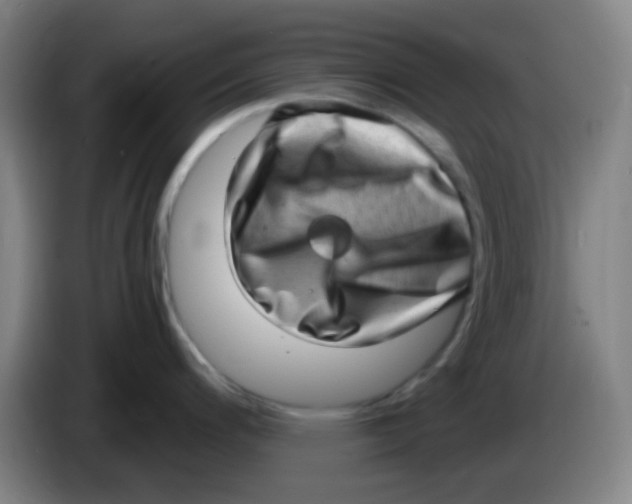 X0000085241200200703301741