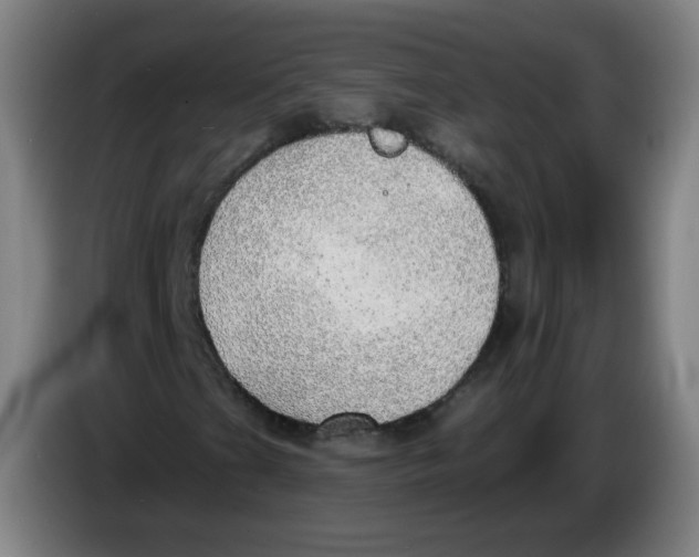 X0000085241201200703301740