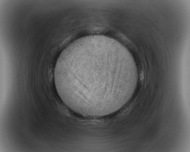 X0000085241204200703301740