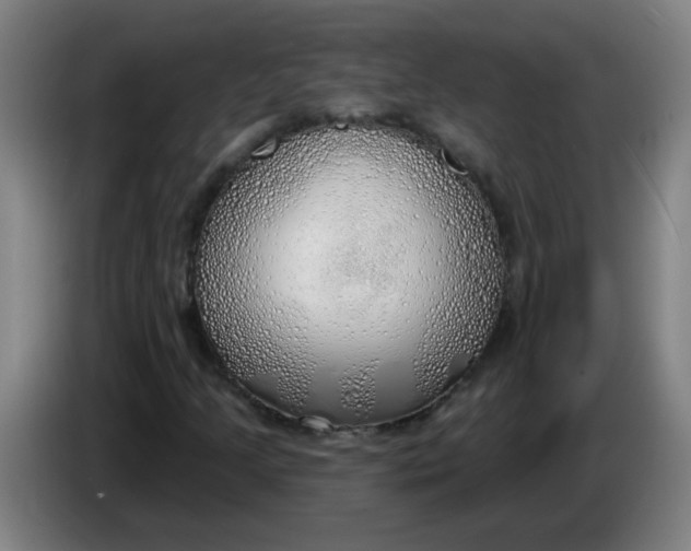 X0000085241205200703301740