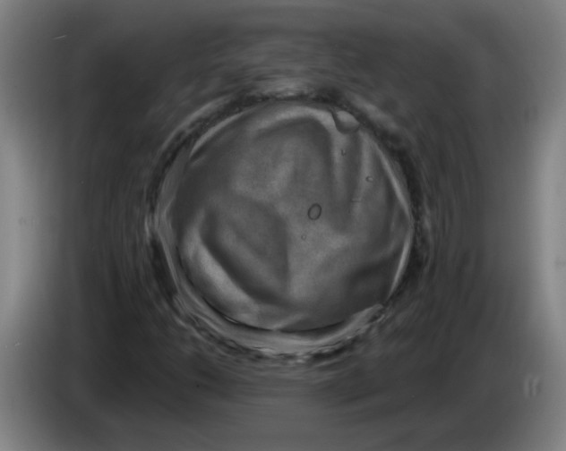 X0000085241206200703301740