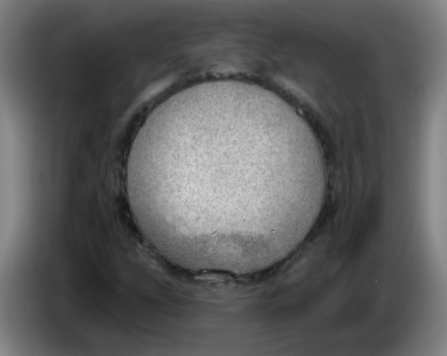 X0000085241207200703301740