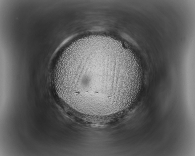 X0000085241208200703301740