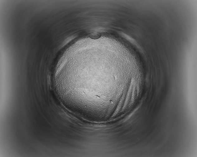 X0000085241209200703301740