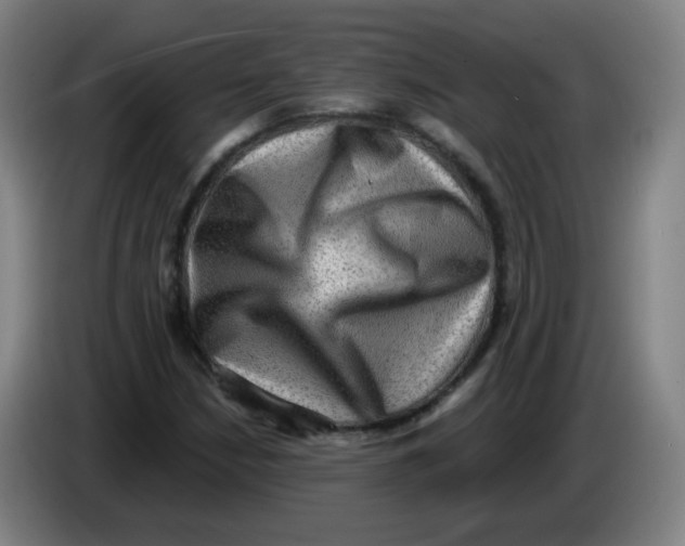 X0000085241210200703301740