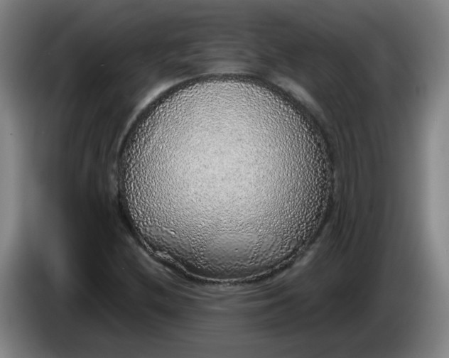 X0000085241212200703301740