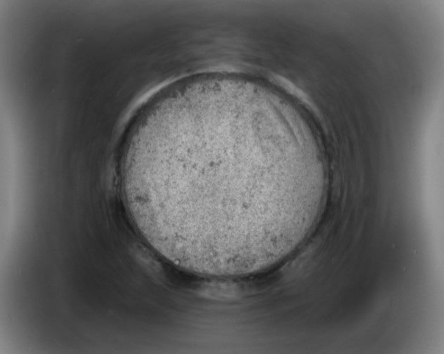 X0000085241215200703301740
