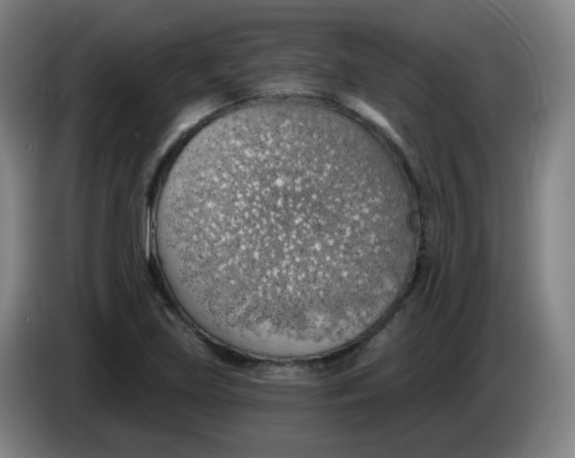 X0000085241219200703301740