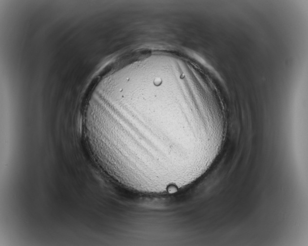 X0000085241221200703301740