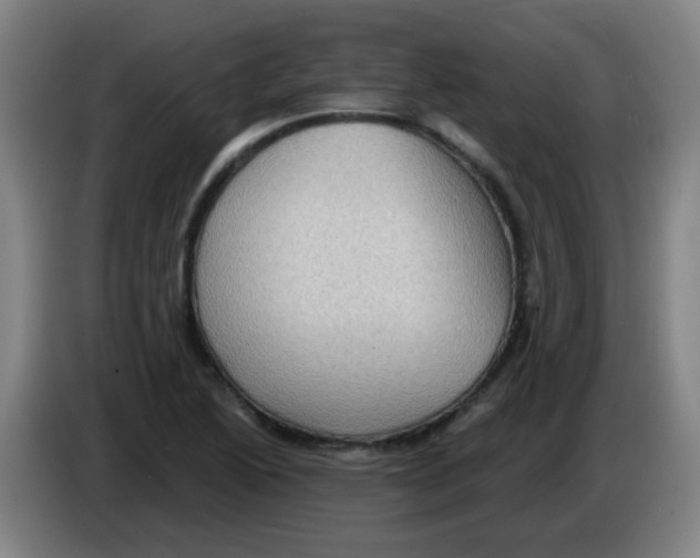 X0000085241222200703301740