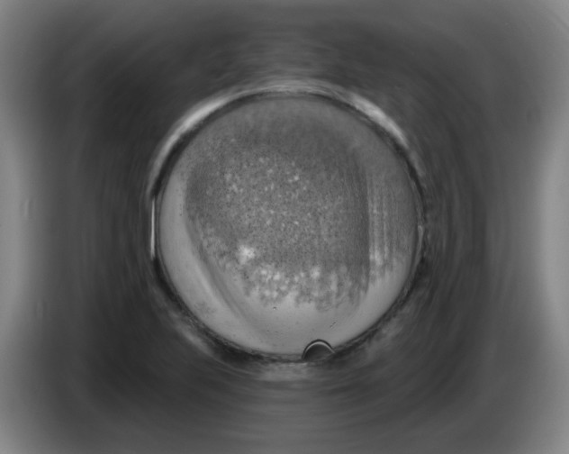 X0000085241223200703301740